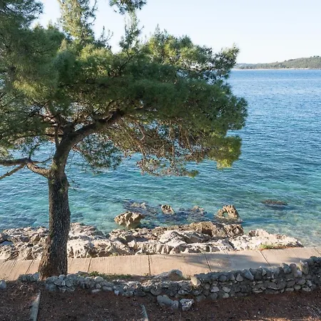 Colonia * 오레비츠